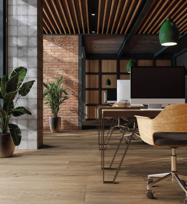 537300 Disano Project Markeg