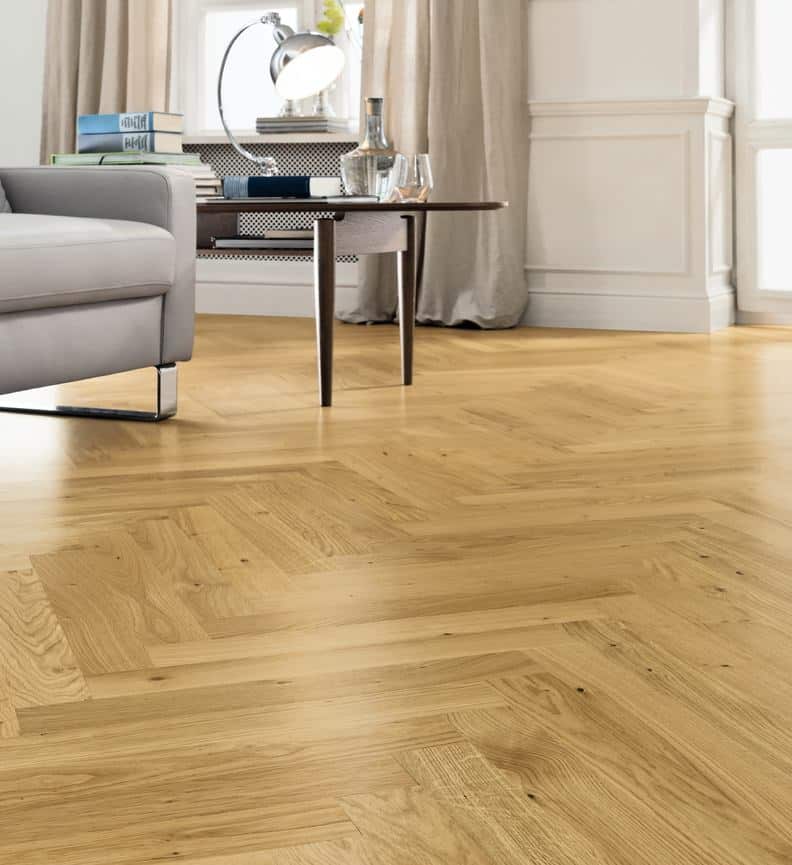 537905 Sildebensparket Eg Terra. Viser farve. Lys eg