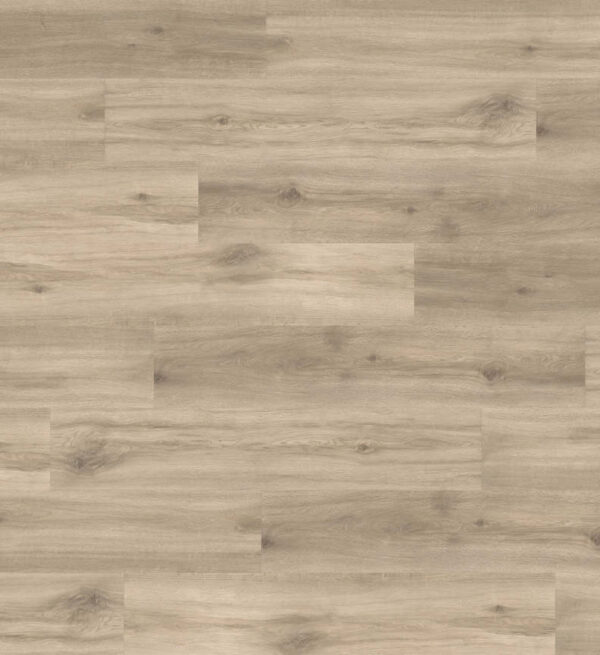 540073 eg provence creme project