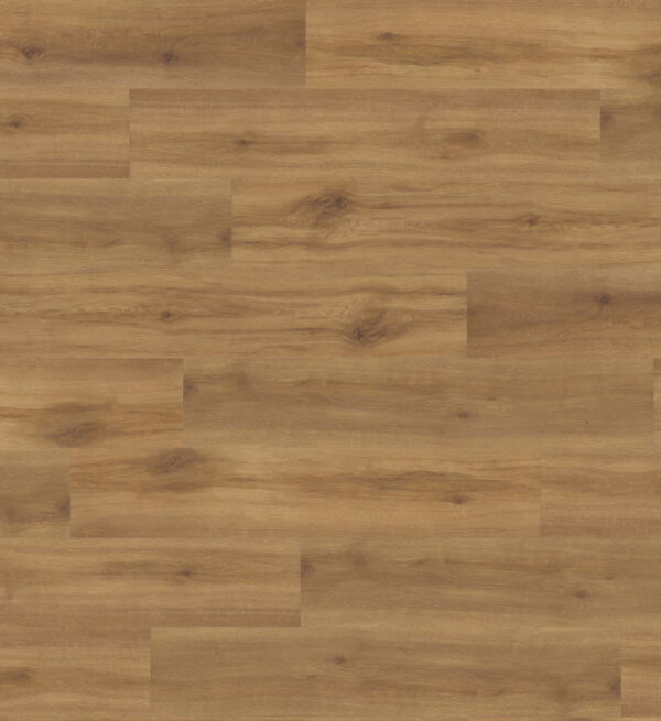 540074 project eg provance natur