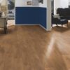 F17 Eg Oktoberbrun planke